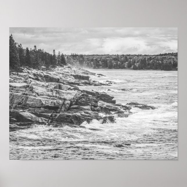 Acadia Maine Rocky Coastline Black and White Poster (Front)