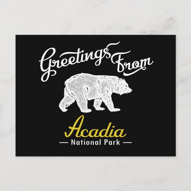 Acadia National Park Bear Postcard (Front)