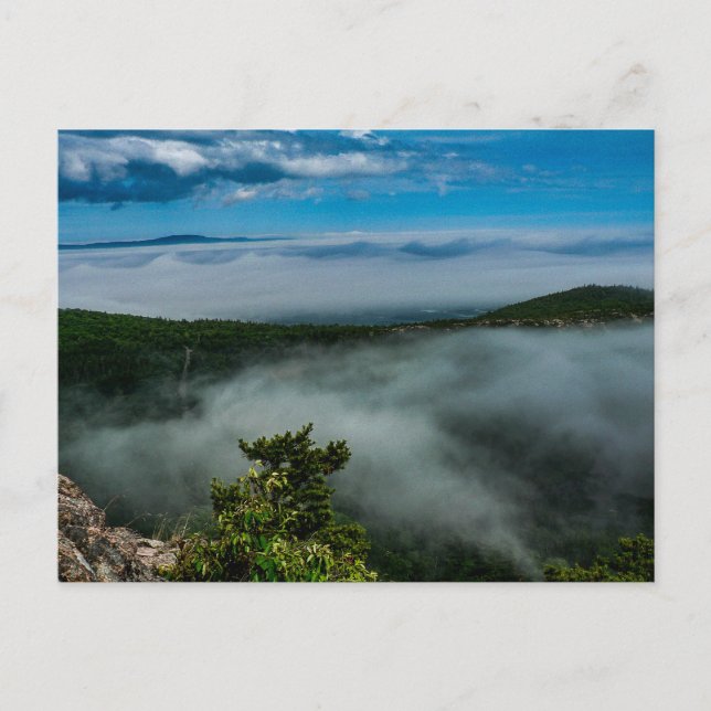 Acadia National Park in Summer, Maine Postcard (Front)