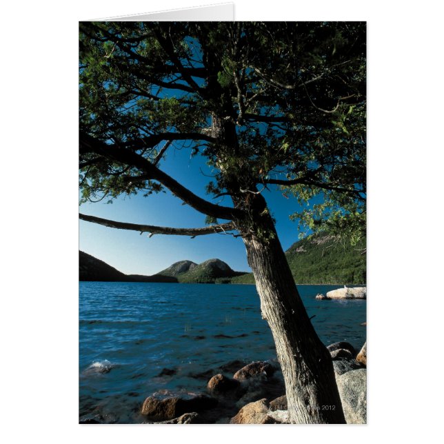 Acadia National Park , London Pond , Maine (Front)