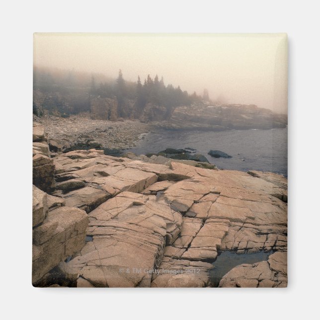 Acadia National Park Magnet (Front)