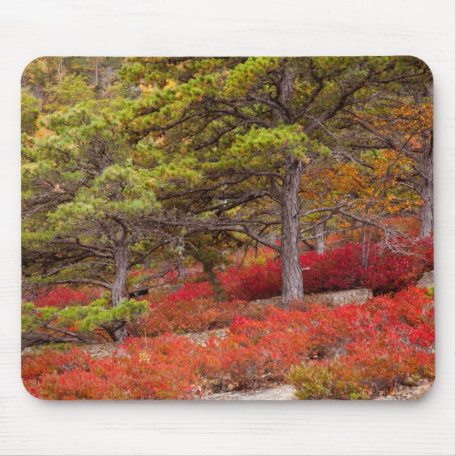 Acadia National Park, Maine Mouse Pad (Front)