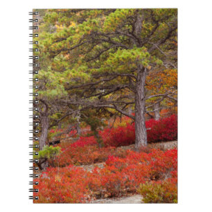 Acadia National Park, Maine Notebook
