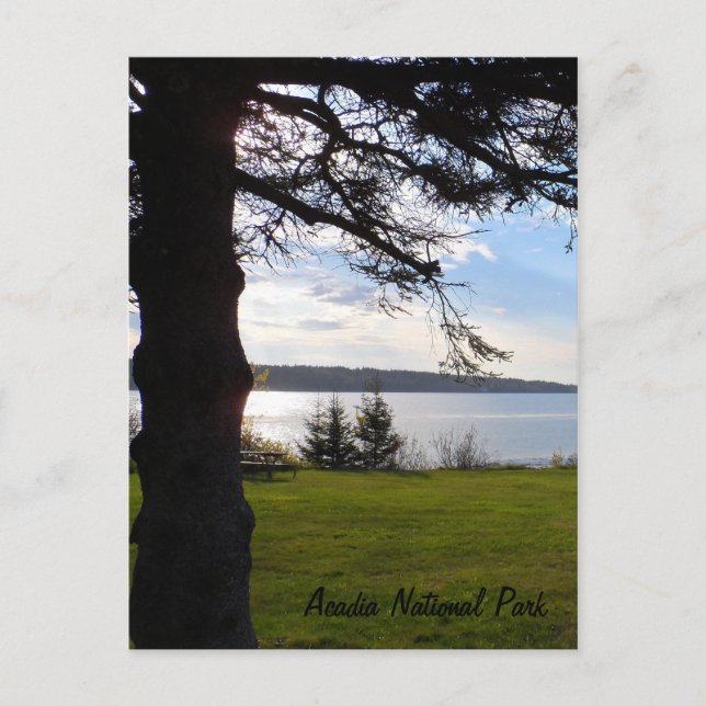 Acadia National Park, Maine Postcard (Front)