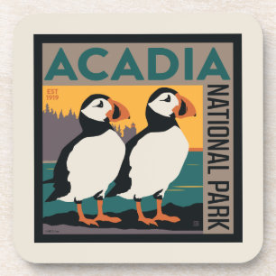 Acadia National Park, Maine   Puffins Coaster