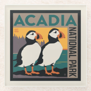 Acadia National Park, Maine   Puffins Glass Coaster