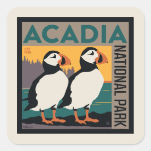Acadia National Park, Maine   Puffins Square Sticker