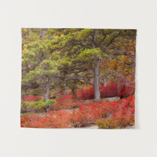 Acadia National Park, Maine Tapestry