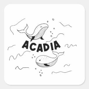 Acadia National Park Maine Whales Square Sticker