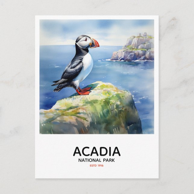 Acadia National Park - Perched Puffin Postcard (Front)