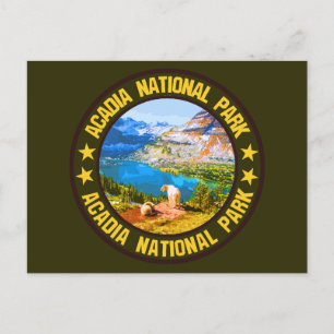 Acadia National Park Postcard