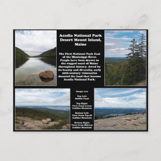 Acadia National Park Postcard