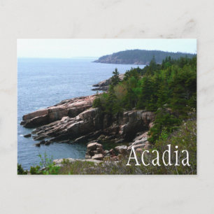 Acadia National Park Shoreline, Maine Postcard