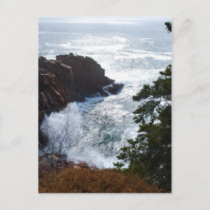 Acadia Postcard - 5