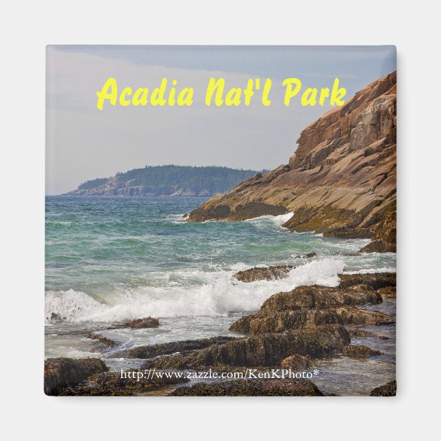 Acadia Shore Magnet (Front)