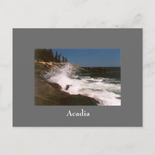 Acadia Surf Postcard - 1