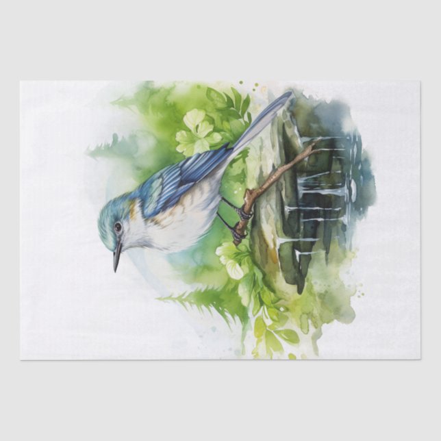 Acadian Flycatcher Bird Tissue Paper (Front)