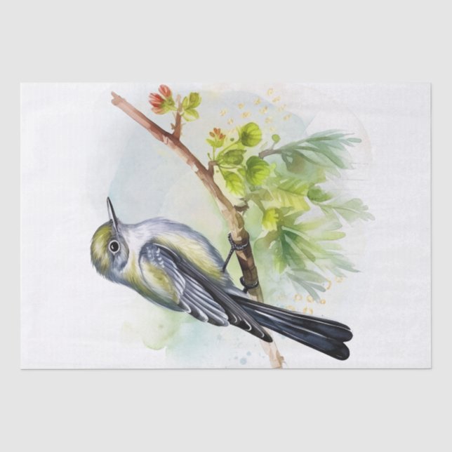 Acadian Flycatcher Bird Tissue Paper (Front)
