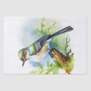 Acadian Flycatcher Bird Tissue Paper