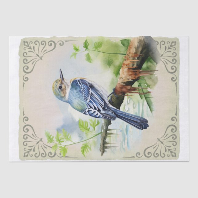 Acadian Flycatcher Bird Tissue Paper (Front)