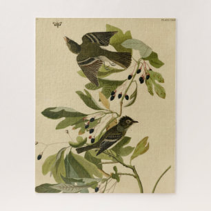 Acadian Flycatcher from Audubon's Birds of America Jigsaw Puzzle