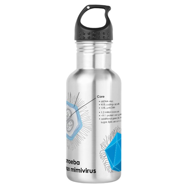 Acanthamoeba polyphaga mimivirus APMV Diagram 710 Ml Water Bottle (Front)