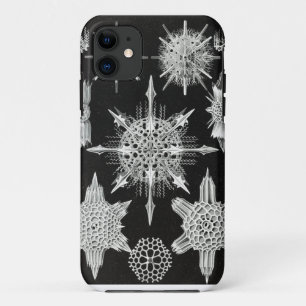 Acanthophracta, Wunderstrahlinge Aquatic Animal iPhone 11 Case