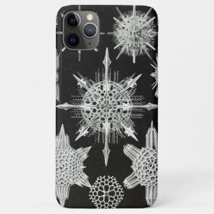 Acanthophracta, Wunderstrahlinge Aquatic Animal iPhone 11 Pro Max Case