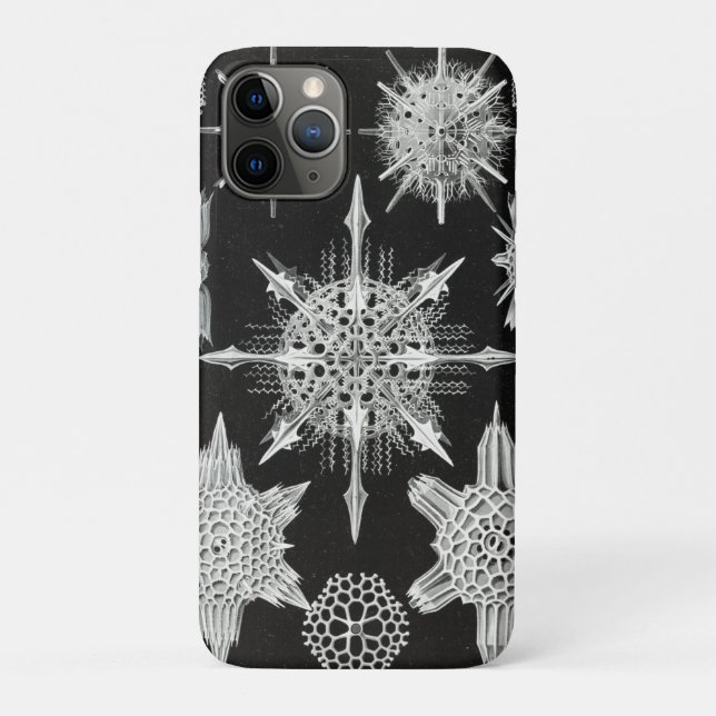 Acanthophracta, Wunderstrahlinge Aquatic Animal Case-Mate iPhone Case (Back)