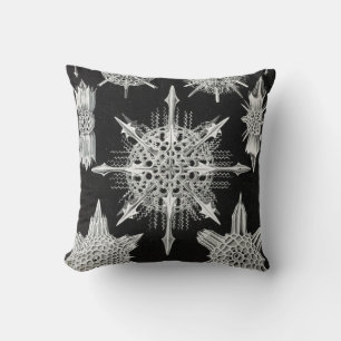 Acanthophracta, Wunderstrahlinge Aquatic Animal Cushion