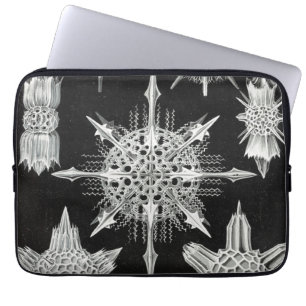 Acanthophracta, Wunderstrahlinge Aquatic Animal Laptop Sleeve