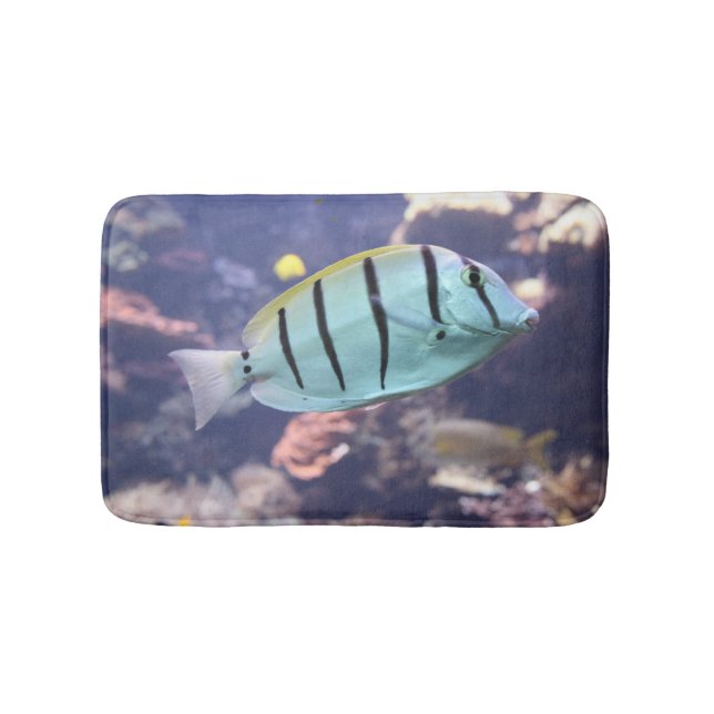 Acanthurus triostegus bath mat (Front)