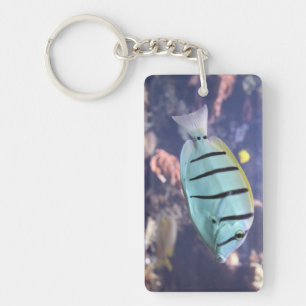 Acanthurus triostegus key ring