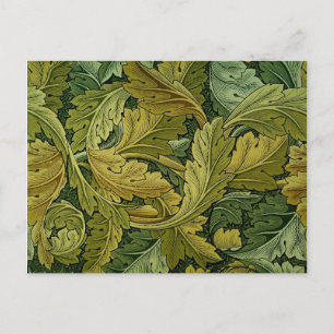 Acanthus postcard