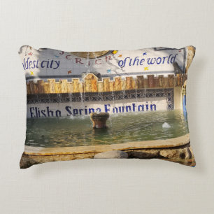 Accent Kussen Decorative Cushion