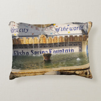 Accent Kussen Decorative Cushion