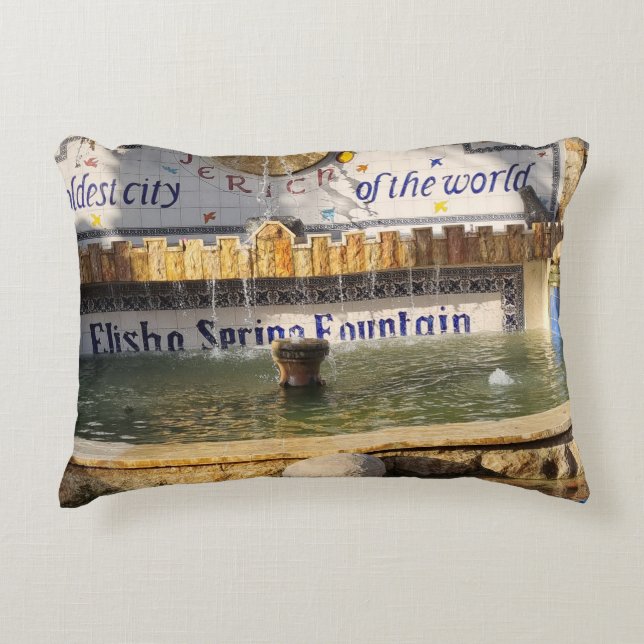 Accent Kussen Decorative Cushion (Front)