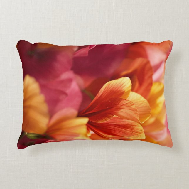Accent Pillow (Front)