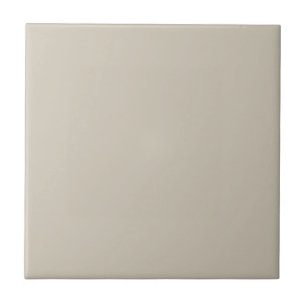 Accessibly Beige Square Kitchen and Bathroom Ceramic Tile