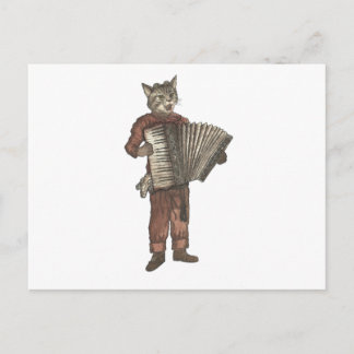 Accordion Cat Postcard