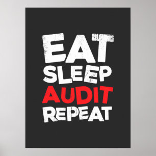 Accountant Eat Sleep Audit Poster