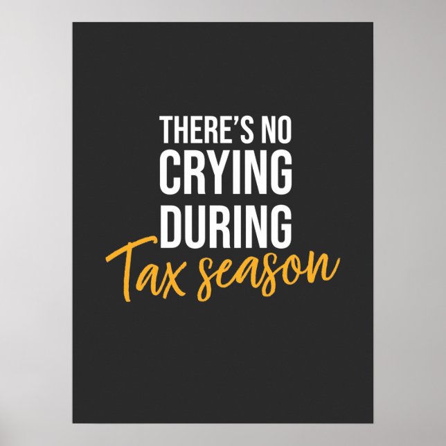 Accountant In Tax Season Poster (Front)