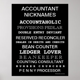 Accountant Nicknames Motivational Poster