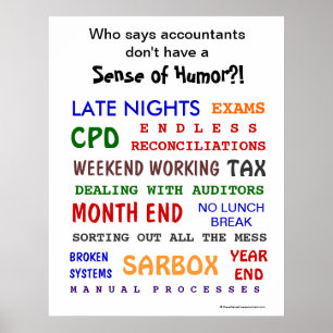 Accountant Sense of Humour Funny Motivational Poster