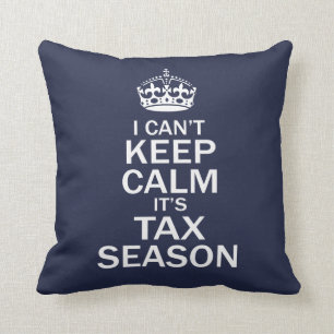 Accountant -Tax Season Cushion