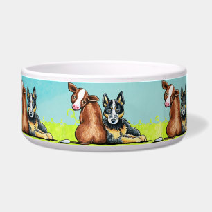 ACD and Brown Cow