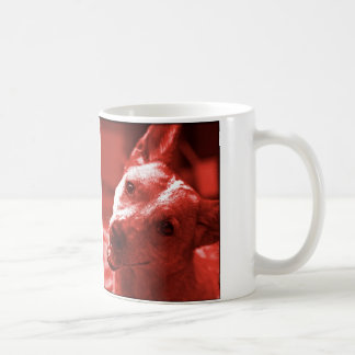 ACD Photo Mug