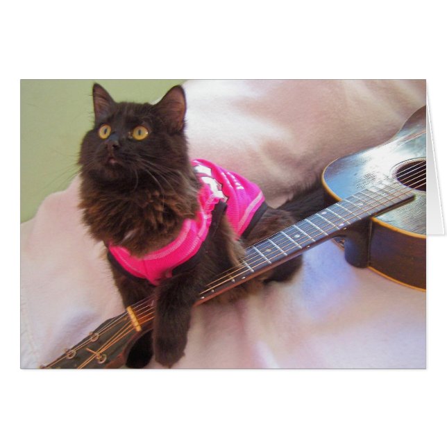 ACDC shirt  cat (Front Horizontal)