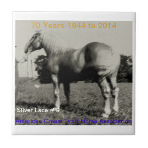 ACDHA Silver Lace anniversary tile