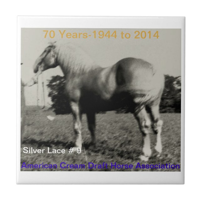 ACDHA Silver Lace anniversary tile (Front)